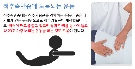 ̹